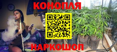 ГАЛЛЮЦИНОГЕННЫЕ ГРИБЫ Гагарин