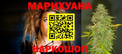 крисы Гатчина