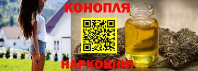 крисы Гатчина