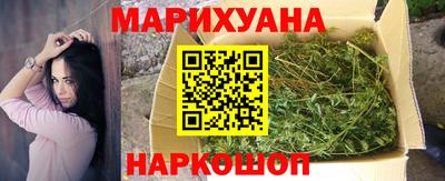 бошки Гай