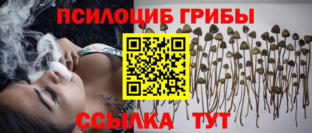 Нефтекамск  Псилоцибиновые грибы Cubensis  Вход с VPN 